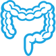 colon Colon